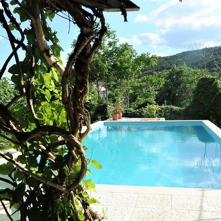 Villa Regina Serafina バルチク エクステリア 写真