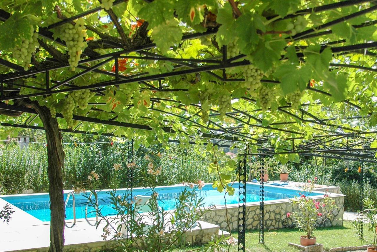 Villa Regina Serafina バルチク エクステリア 写真