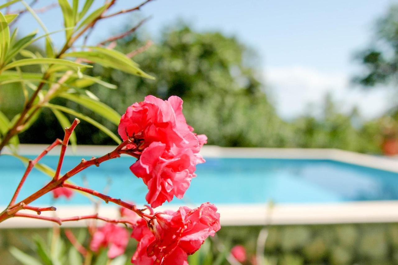 Villa Regina Serafina バルチク エクステリア 写真