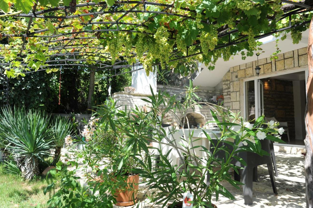Villa Regina Serafina バルチク エクステリア 写真